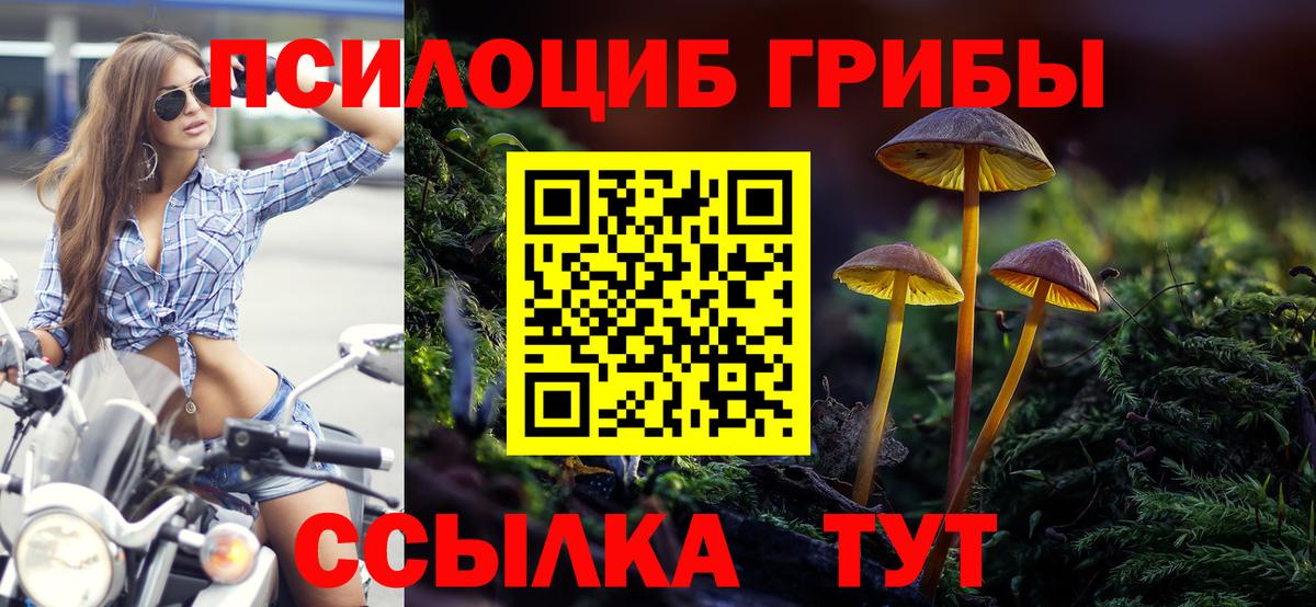 Псилоцибиновые грибы Psilocybe  цены   Волжский  Вход с VPN  Галлюциногенные грибы мухоморы 
